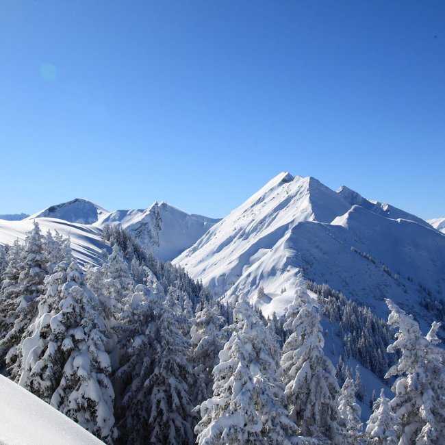 Verschneite Gipfel soweit das Auge reicht. Sicht auf den Frauenkogel. © www.grossarltal.info